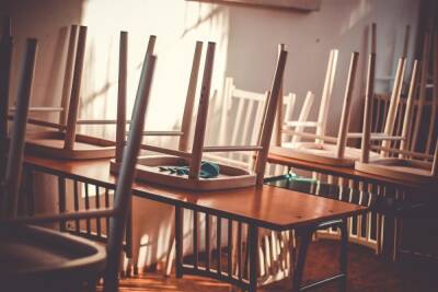 Любимов назвал срок отмены «удалёнки» в рязанских школах