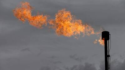 Расследование причин газового кризиса в Европе может занять до 3 лет