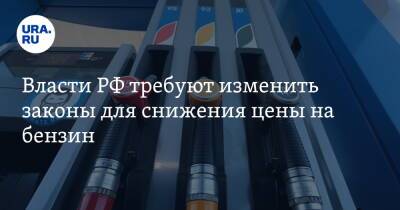 Власти РФ требует изменить законы для снижения цены на бензин