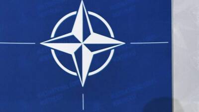 Политолог заявил о необходимости переговоров по взаимодействию РФ и НАТО