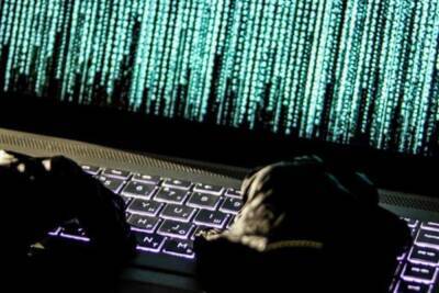 Хакеры, похитившие более миллиарда рублей, скрывались в Тверской области