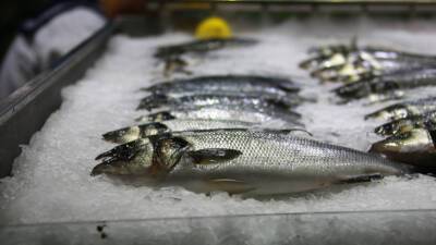 Врач рассказала, полезна ли искусственно выращенная рыба и чем можно заменить дорогой лосось
