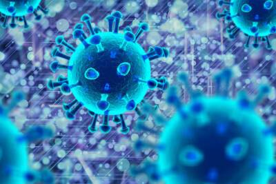 Почти 300 человек заболели коронавирусом во Всеволожске за последние сутки