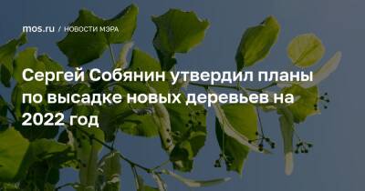 Сергей Собянин утвердил планы по высадке новых деревьев на 2022 год