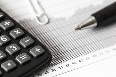 ФНС привела статистику выездных налоговых проверок