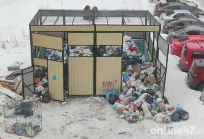 Нанотехнологии подъехали: как мусоровоз утрамбовывал отходы на контейнерной площадке в Кудрово