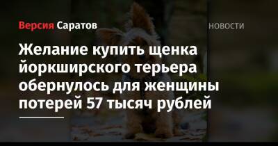 Желание купить щенка йоркширского терьера обернулось для женщины потерей 57 тысяч рублей