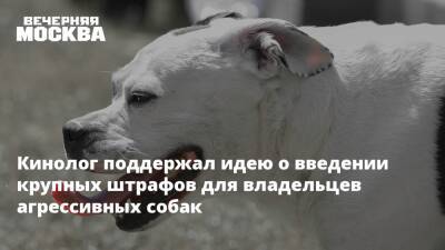 Владимир Бурматов - Кинолог поддержал идею о введении крупных штрафов для владельцев агрессивных собак - vm.ru