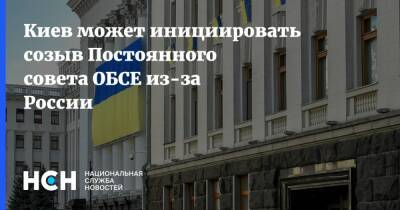 Киев может инициировать созыв Постоянного совета ОБСЕ из-за России