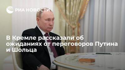 Пресс-секретарь Песков надеется, что переговоры Путина и Шольца будут конструктивными