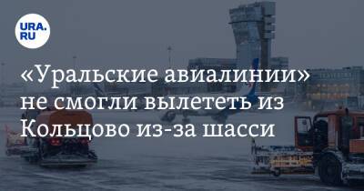 «Уральские авиалинии» не смогли вылететь из Кольцово из-за шасси