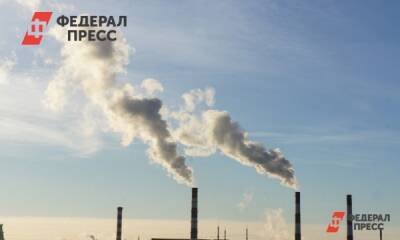 Глава Росприроднадзора лично проверит «Евраз НТМК» из-за вредных выбросов