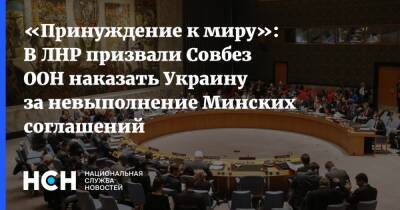 «Принуждение к миру»: В ЛНР призвали Совбез ООН наказать Украину за невыполнение Минских соглашений