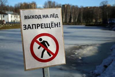 Гуляющие в период оттепели по льду петербуржцы рискуют получить 5 тысяч штрафа