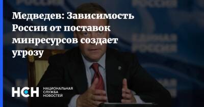 Медведев: Зависимость России от поставок минресурсов создает угрозу