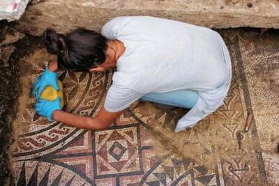 Археологи обнаружили в Хорватии роскошную мозаику II века н.э. прямо под тротуаром (Фото)