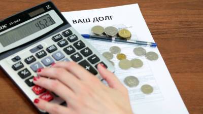 Число злостных неплательщиков в России в 2021 году достигло рекордных 8,6 млн