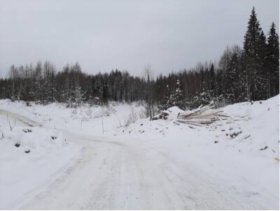 Подрядчик нарушил природоохранное законодательство при оборудовании переправы в Сосногорске