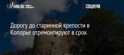 Дорогу до старинной крепости в Копорье отремонтируют в срок