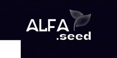 Крупнейшее русскоязычное блокчейн-сообщество ALFA запускает собственный инкубатор