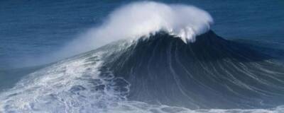 У побережья Канады обнаружили волну-убийцу высотой 17,6 метра