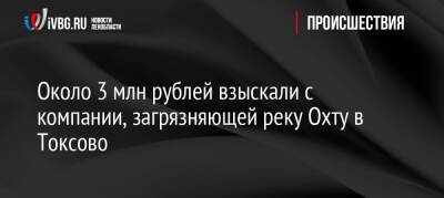 Около 3 млн рублей взыскали с компании, загрязняющей реку Охту в Токсово