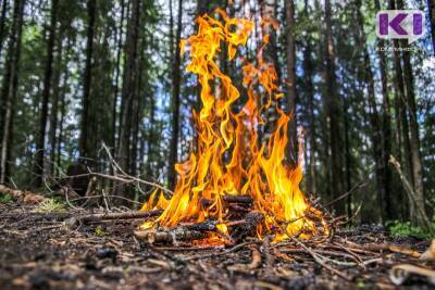 Повышение уровня пожароопасности в лесах Коми ожидается в мае