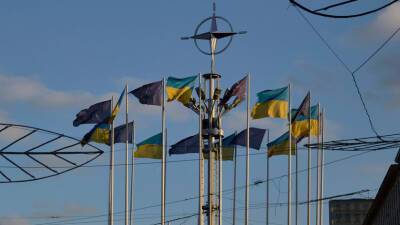 Киев запросил у НАТО спецэкипировку, технику и средства разминирования