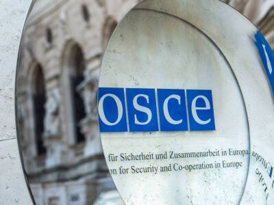 В Вене прошла встреча со странами ОБСЕ, которую Украина запросила по Венскому документу. Россия от участия в ней отказаалсь