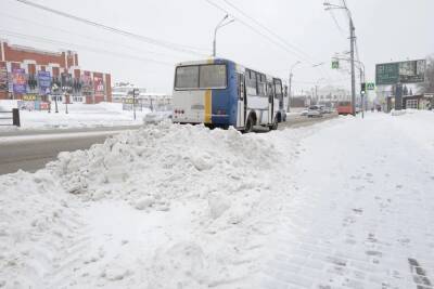 Небольшой снег и сильный ветер ожидаются в Томской области 16 февраля