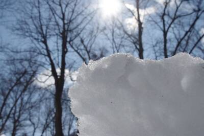 16 февраля в Москве ожидается до трёх градусов тепла