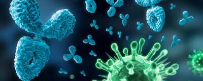 Вирусолог Альтштейн рассказал об особенностях антител к «омикрону»
