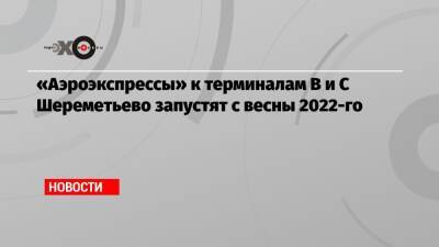 «Аэроэкспрессы» к терминалам В и С Шереметьево запустят с весны 2022-го