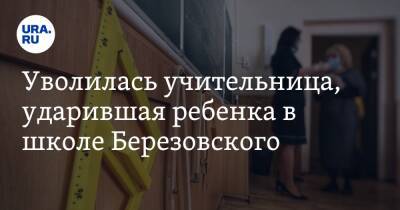 Уволилась учительница, ударившая ребенка в школе Березовского. «Устала терпеть»