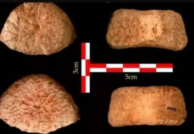 Археологи обнаружили окаменелость человека возрастом 1,5 миллиона лет