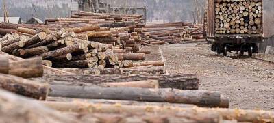 На лесозаготовках в Карелии зарезали рабочего