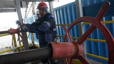 В Европе заявили о готовности справиться с сокращением поставок газа из РФ