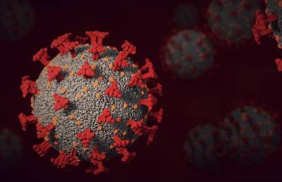 Антитела к «омикрону» плохо нейтрализуют другие штаммы COVID-19, рассказал вирусолог