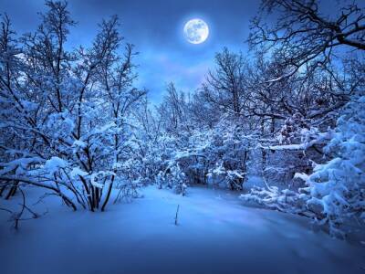 Февральское полнолуние: что предвещает Снежная Луна