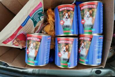 Волонтеры собрали 115 килограммов корма для бездомных животных в Ленобласти