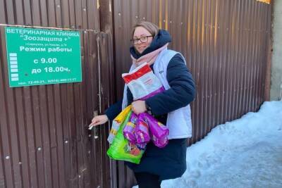 Несколько десятков килограммов корма собрали жители Серпухова для животных