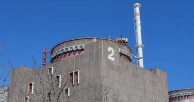 Один из блоков Запорожской АЭС отключили от энергосети