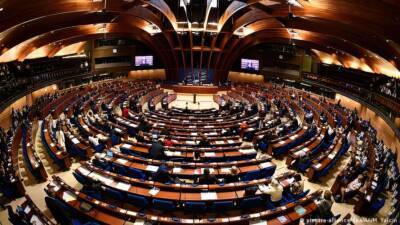 Совет Европы призвал немедленно провести «деэскалацию риторики и действий» вокруг Украины