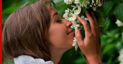 Опьяняющий аромат: 6 цветов для сада, которые сильнее всего пахнут ночью