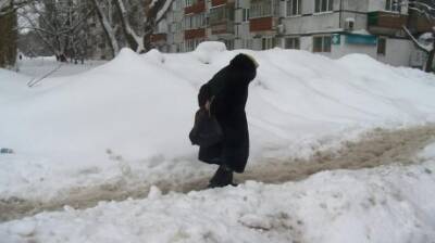Пензенцы засыпали мэра жалобами на снег