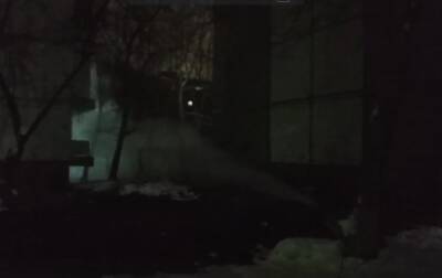 Струя кипятка била в дверь дома в Канавинском районе ночью 16 февраля