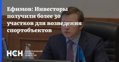 Владимир Ефимов - Максим Гаман - Ефимов: Инвесторы получили более 30 участков для возведения спортобъектов - nsn.fm - Москва