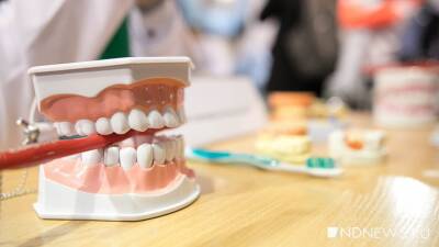 Тюменцы лечили зубы у ненастоящего стоматолога