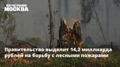 Правительство выделит 14,2 миллиарда рублей на борьбу с лесными пожарами