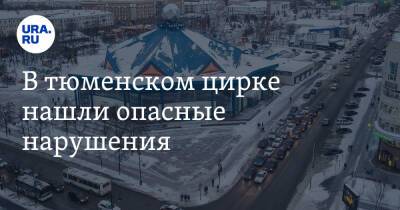 В тюменском цирке нашли опасные нарушения. Из-за них пострадал человек